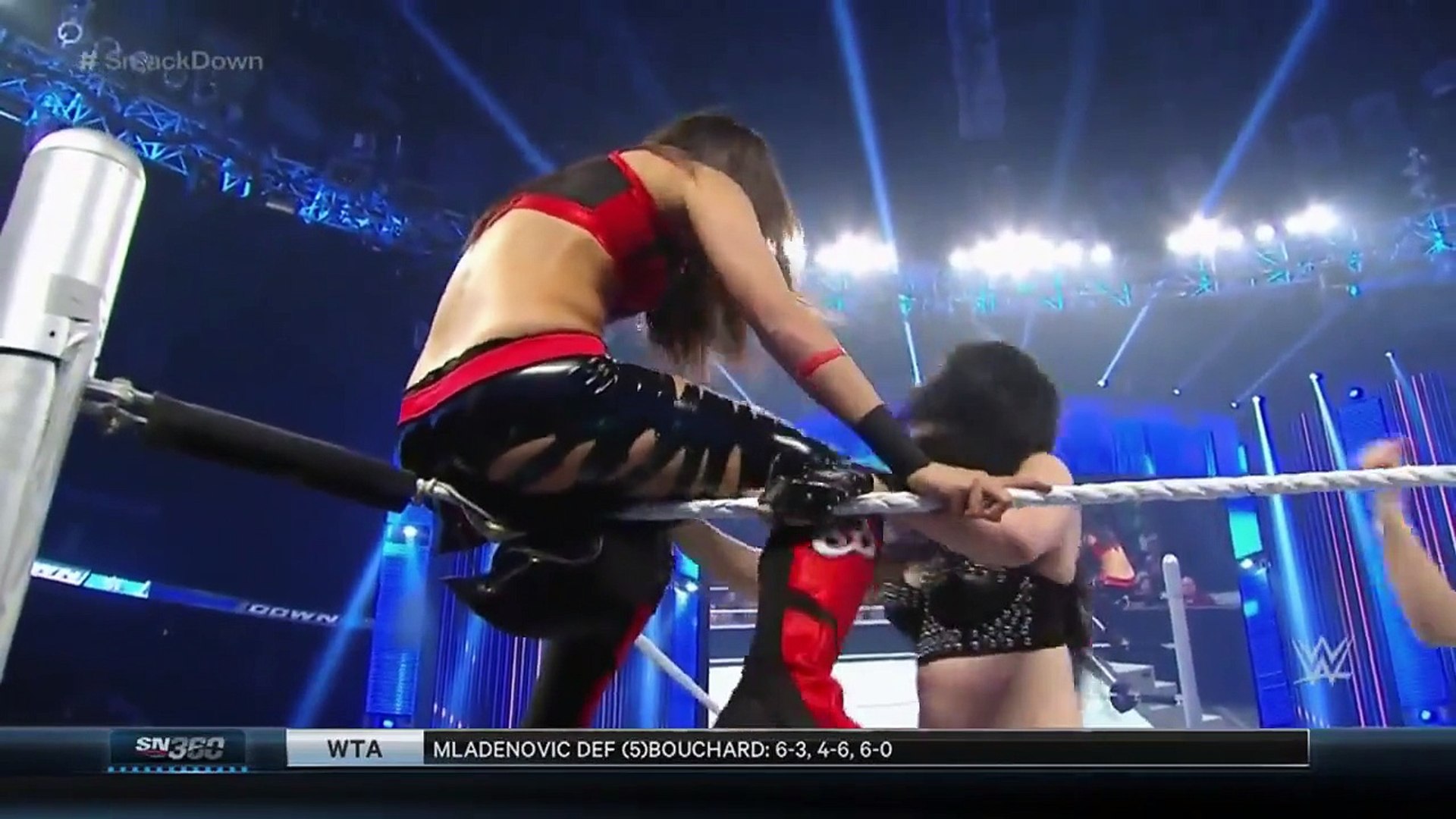 Paige vs Brie Bella
