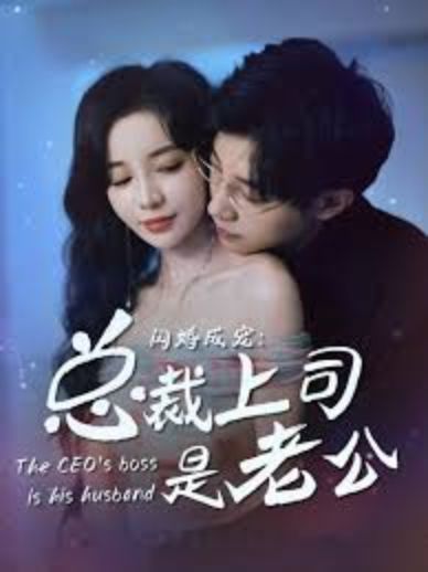 My Boss Is My Husband [English] poster