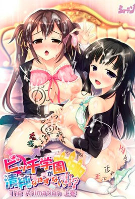 Bitch Gakuen ga Seijun na Hazu ga Nai!!? The Animation