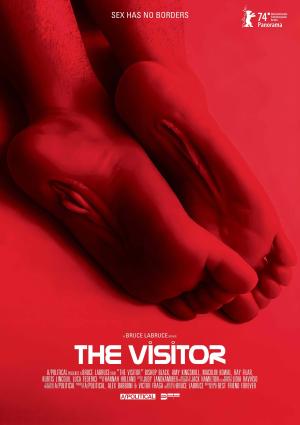 The Visitor [Portuguese]