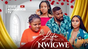 LIFE WITH THE NWIGWE'S