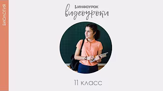 ВИДЕОУРОКИ: Биология 11 класс
