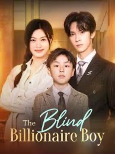 the blind billionaire boy [English] poster