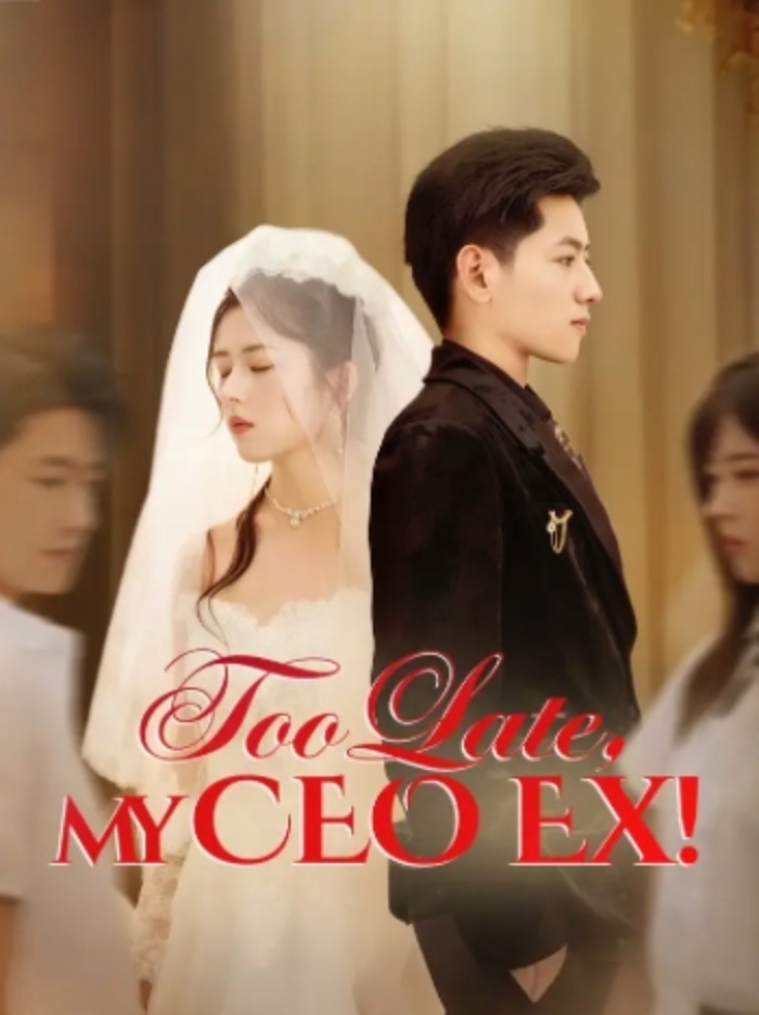 Too Late My CEO Ex [English] poster
