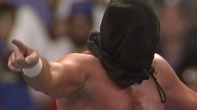 Jake "The Snake" Roberts vs. Rick Martel: WrestleMania 7 - Blindfold Match background