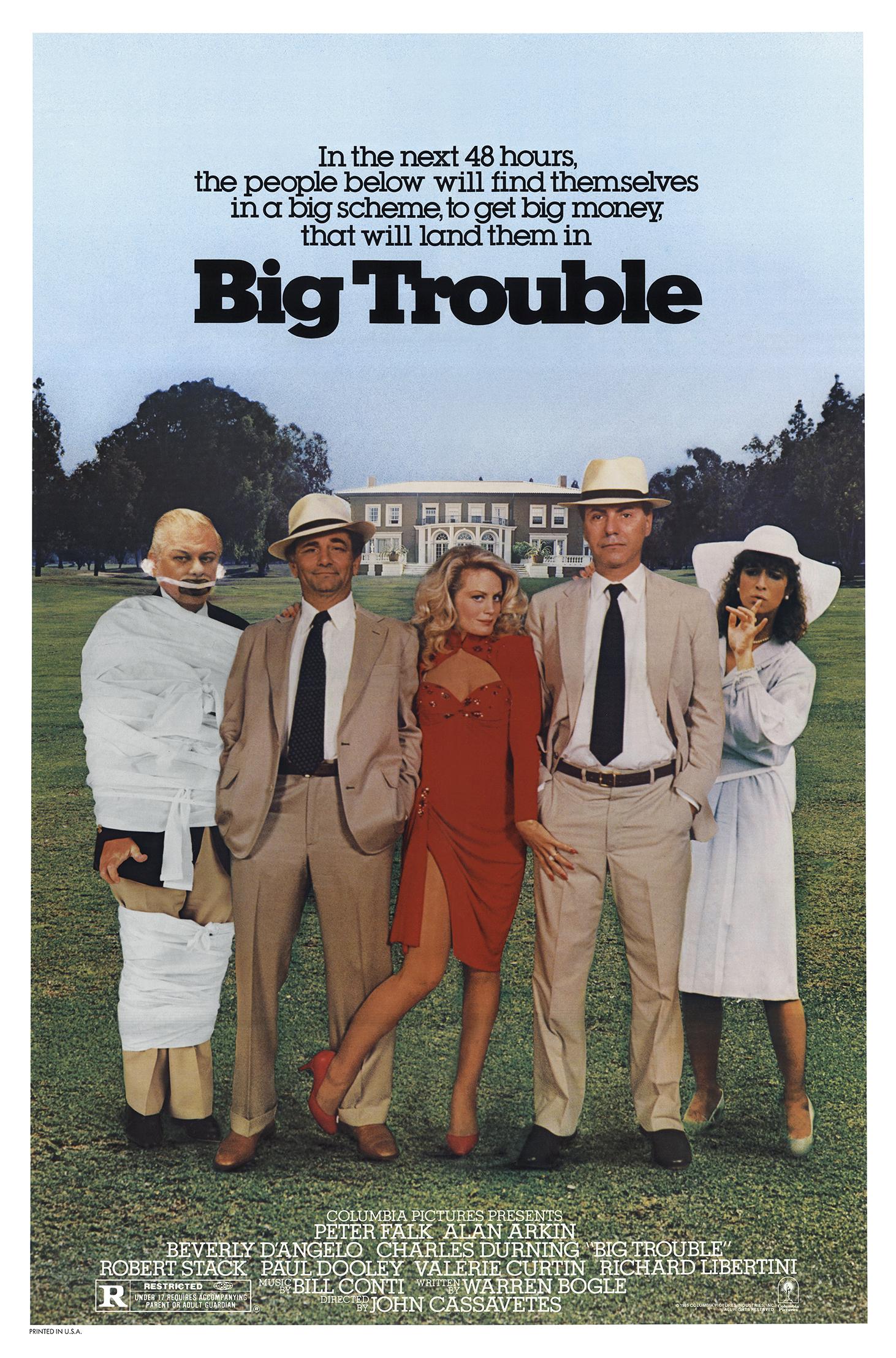 Big Trouble - like Overboard but darker