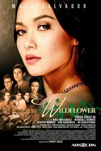 Wildflower S1-S2 poster