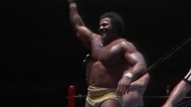 Butch Reed & Jim Neidhart vs. Magnum TA & Mr. Wrestling II: Mid-South Wrestling
