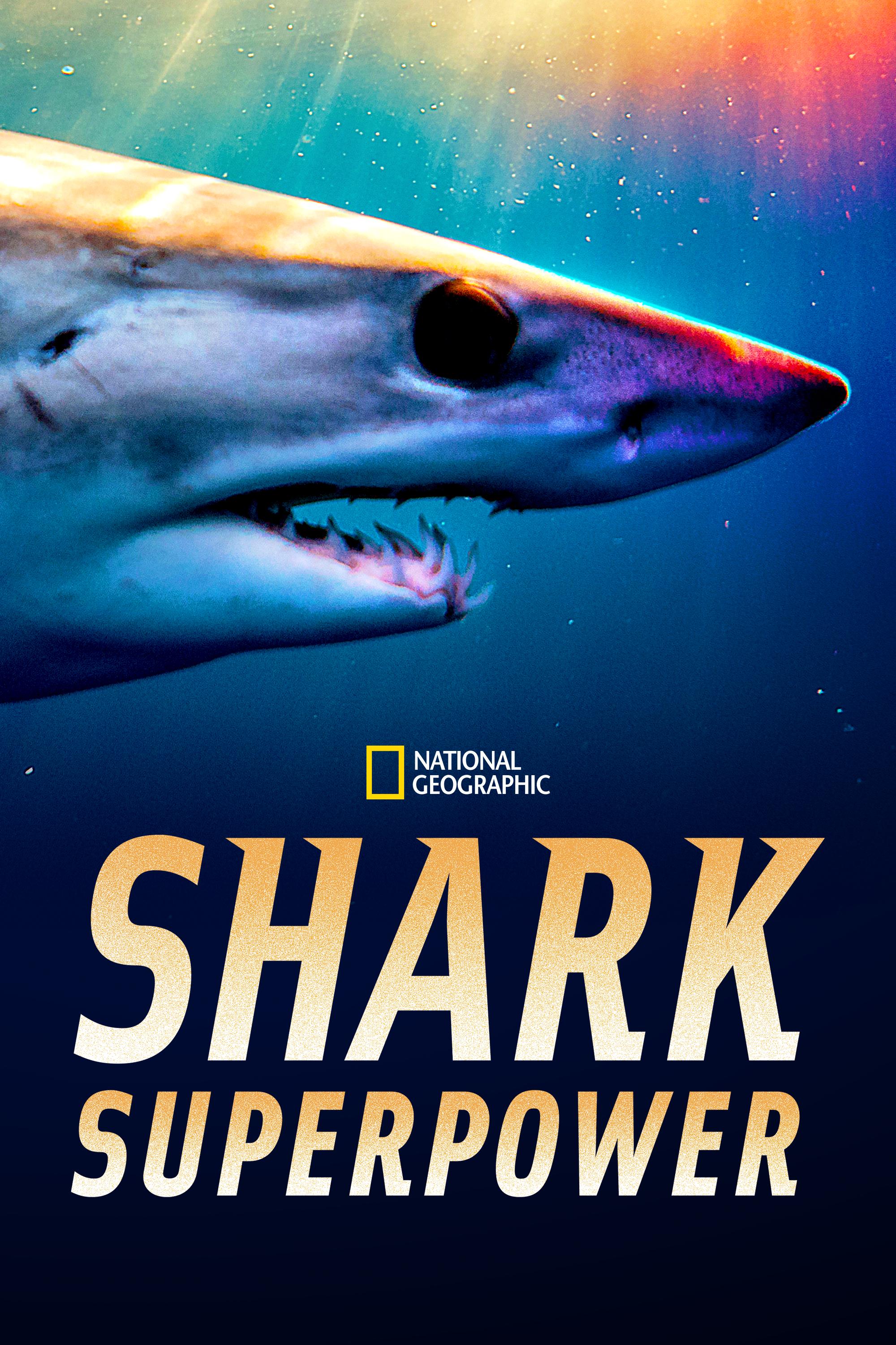 Shark Superpower (2022) | Watch on Movi47