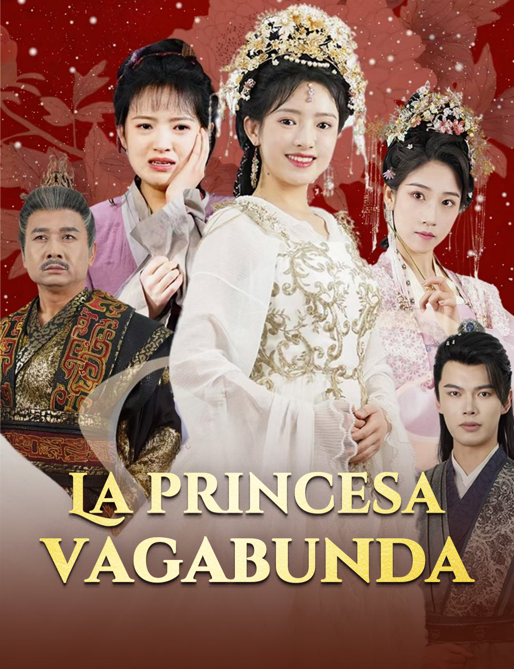 La princesa vagabunda poster