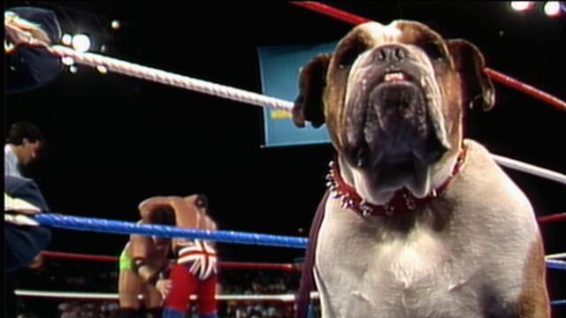 WWE Network Sneak Peek: Into the Jungle with Santino