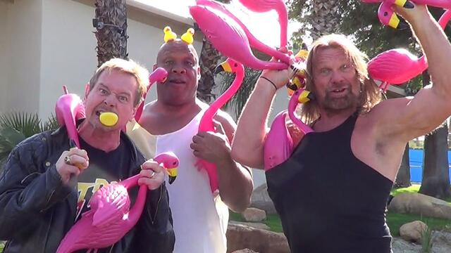 "Rowdy" Roddy Piper and his team put their talents to the test in a hilarious commercial promoting flamingos and duckies: WWE Legends' House, May 1, 2014