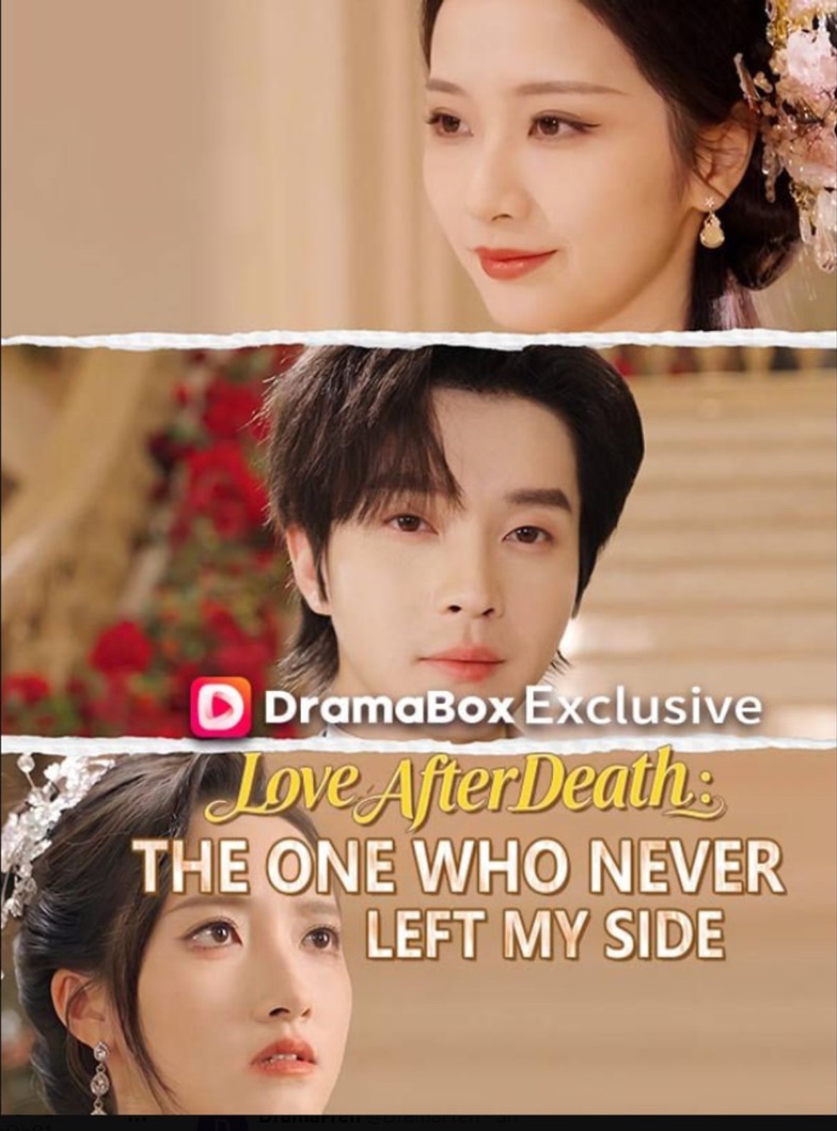 Love After Death The One Who Never Left My Side [English] poster