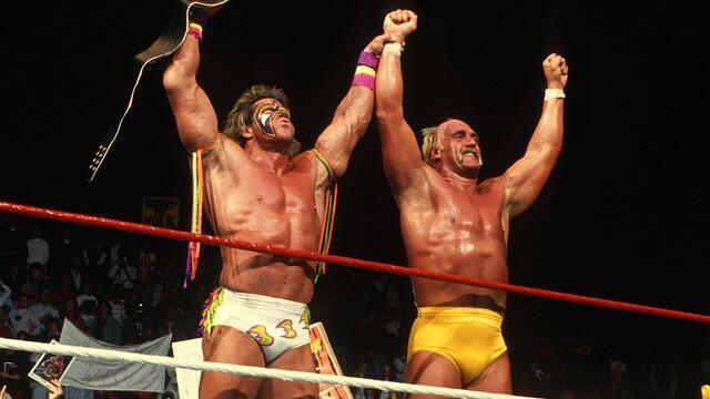 Survivor Series All-Stars: 5 Things, November 12, 2014 background