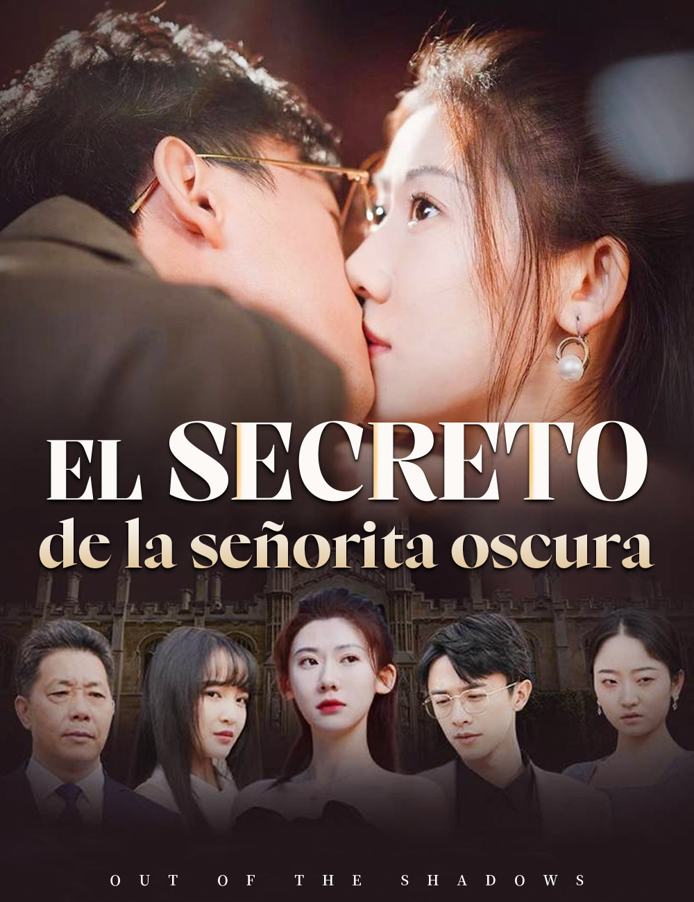 El secreto de la señorita oscura poster