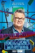 Domino Masters
