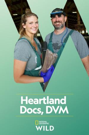 Heartland Docs, DVM S1-S3
