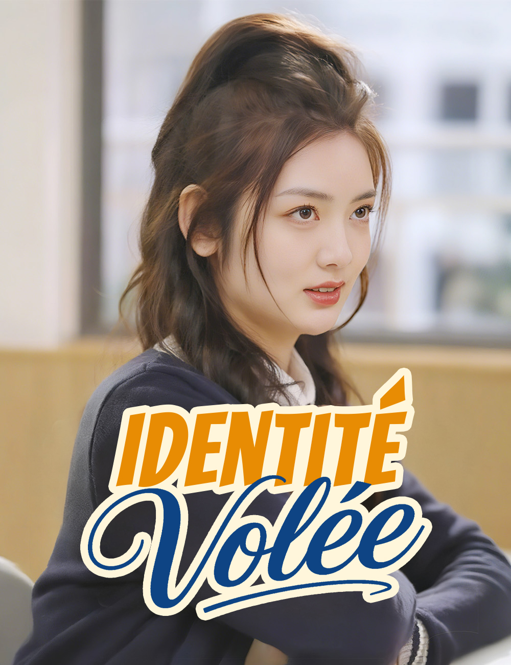 Identité Volée poster