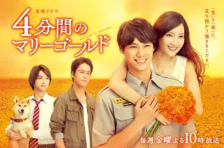 Marigold in 4Minutes