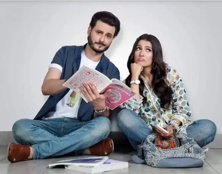 Chupke Chupke poster