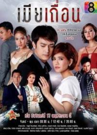 The Illicit Wife