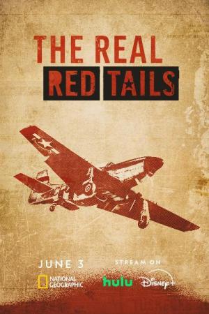 The Real Red Tails [Portuguese]