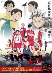 Haikyuu!!: Land Vs Air