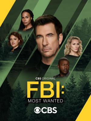 FBI: Most Wanted S1-S6
