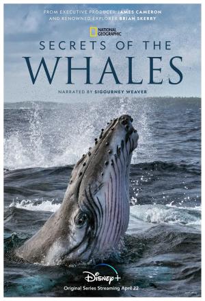 Secrets of the Whales [Spanish]