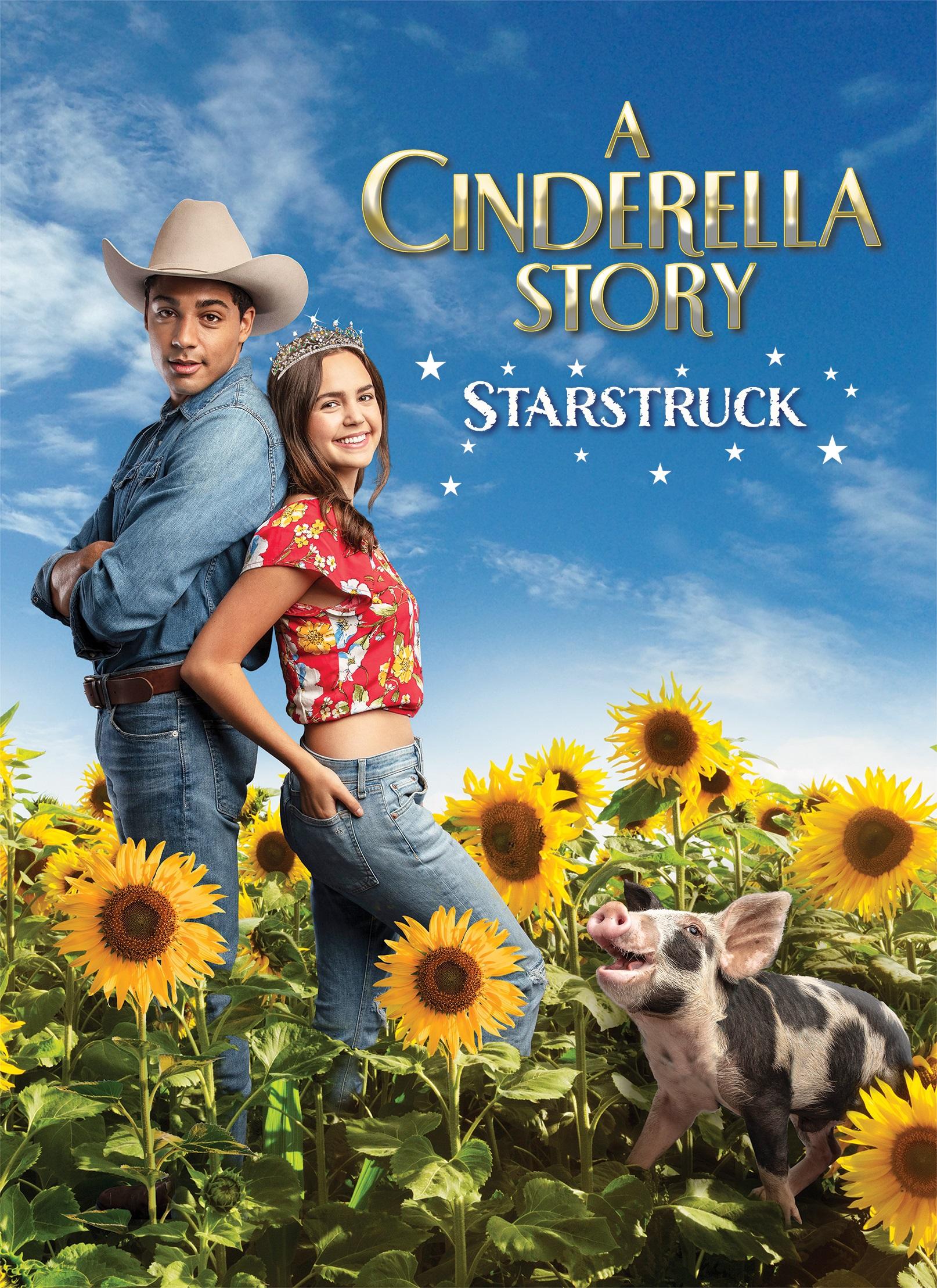 A Cinderella Story: Starstruck poster