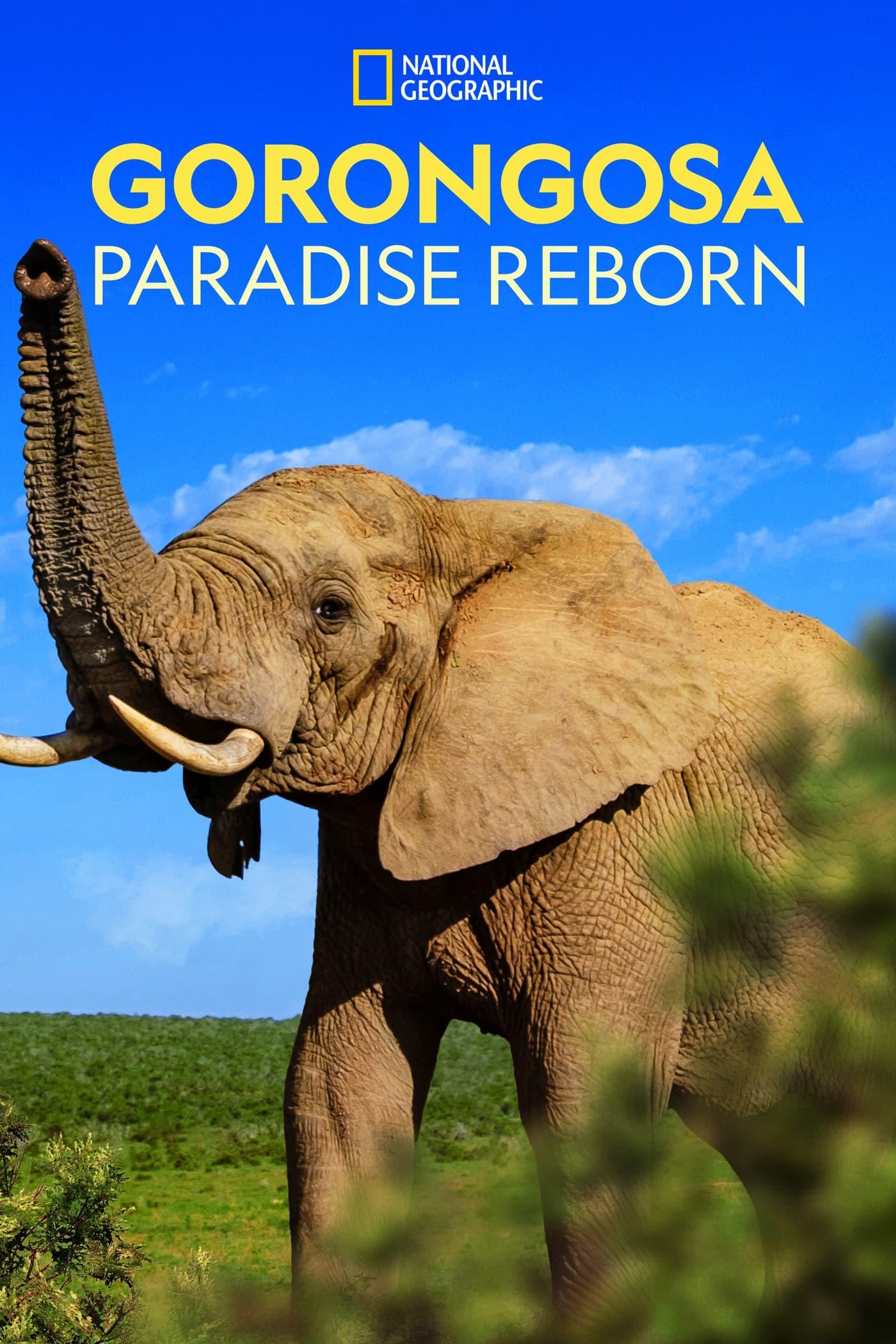 Gorongosa: Paradise Reborn background