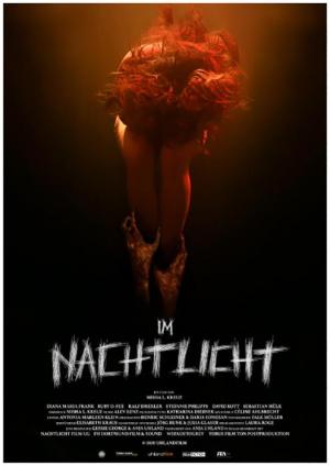 In the Light of the Night