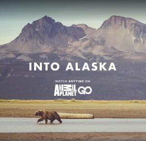Into Alaska - 123Movies