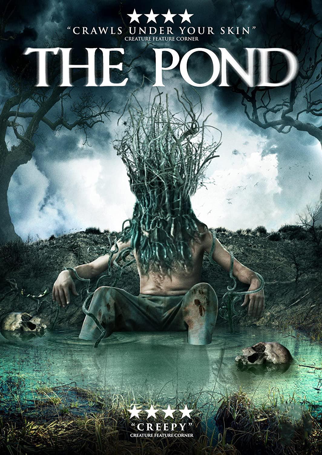 The Pond backdrop