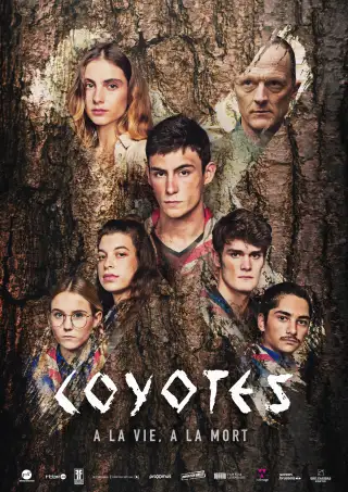 The Coyotes