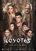 The Coyotes