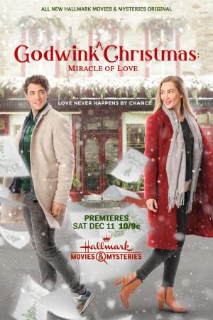 A Christmas Coincidence 4: Miracle of Love