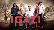 Igazi