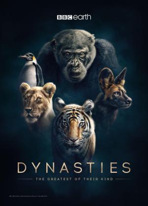 Dynasties S1-S2