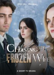 Chasing My Frozen Wife