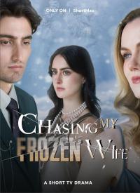 Chasing My Frozen Wife