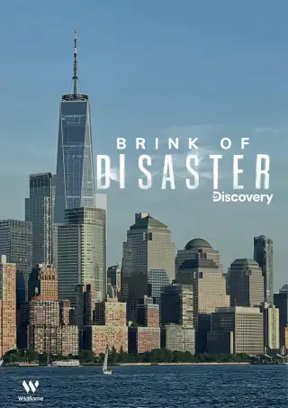 Brink of Disaster