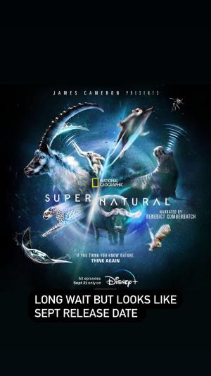Super/Natural [Portuguese]