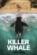Killer Whale