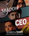 Shadow CEO