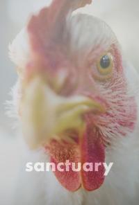 Sanctuary