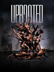 Uprooted: The Journey of Jazz Dance