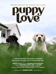 Puppy Love