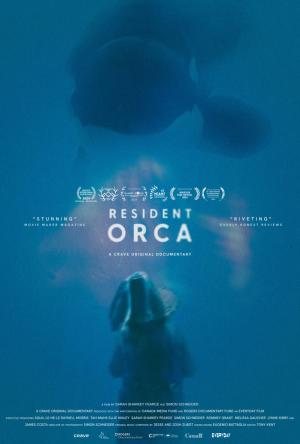 Resident Orca