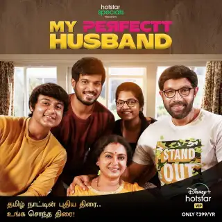 My Perfectt Husband